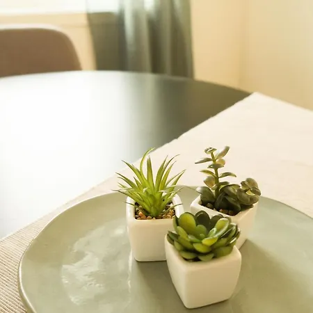 Destination Senja - Skaland