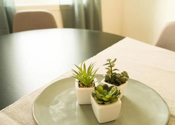 Destination Senja - Skaland